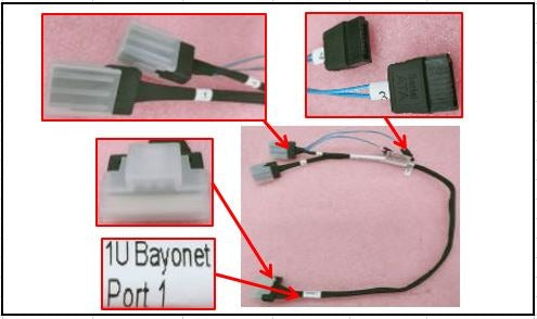 P21279-001