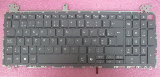 P42485-A41