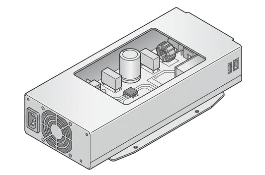 P39384-001